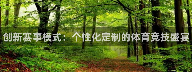赏金国际app：创新赛事模式：个性化定制的体育竞技盛宴