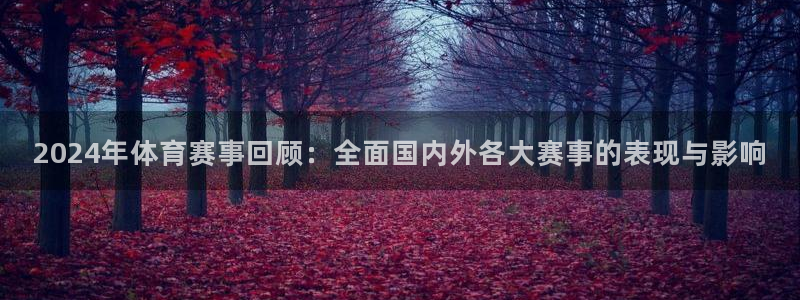 赏金帮app：2024年体育赛事回顾：全面国内外各大赛事的表现与影响