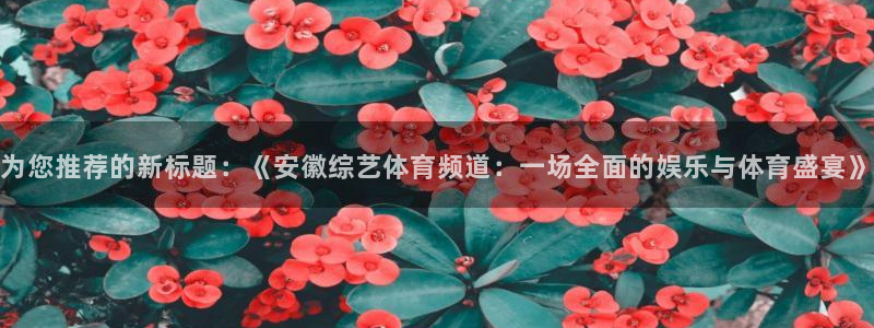 千行赏金app：为您推荐的新标题：《安徽综艺体育频道：一场全面的娱乐与体育盛宴》