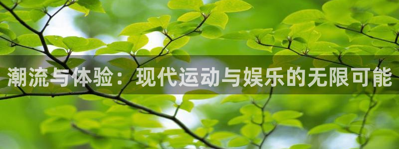 赏金平台：潮流与体验：现代运动与娱乐的无限可能