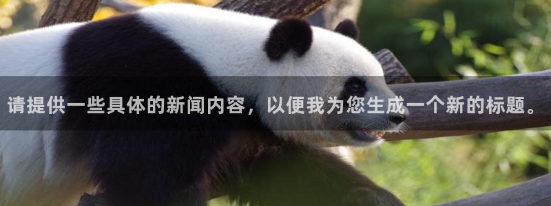 赏金国际pg：请提供一些具体的新闻内容，以便我为您生成一个新的标题。