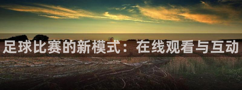赏金国际app正版官网入口：足球比赛的新模式：在线观看与互动