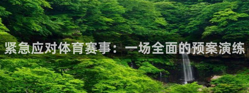 赏金国际pg正版：紧急应对体育赛事：一场全面的预案演练