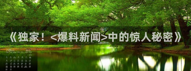 赏金游app官网：《独家！<爆料新闻>中的惊人秘密》