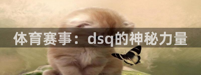赏金国际入口：体育赛事：dsq的神秘力量