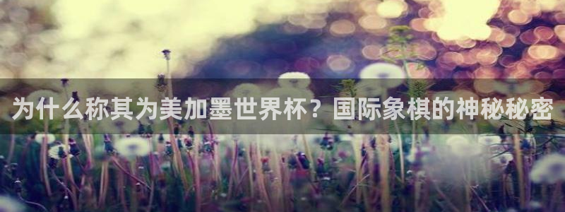 sjgj赏金国际app官网下载安装：为什么称其为美加墨世界杯？国际象棋的神秘秘密