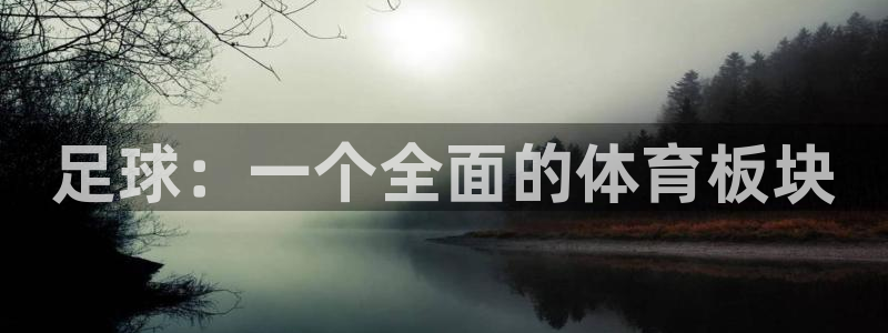 赏金国际链接入口：足球：一个全面的体育板块