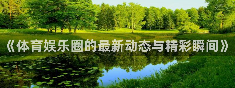 赏金国际网页版：《体育娱乐圈的最新动态与精彩瞬间》