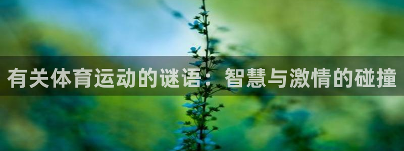 赏金国际网页入口官网下载：有关体育运动的谜语：智慧与激情的碰撞