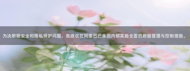 赏金达人app下载：为决数据安全和隐私保护问题，我建议在阿里巴巴集团内部实施全面的数据管理与控制措施。