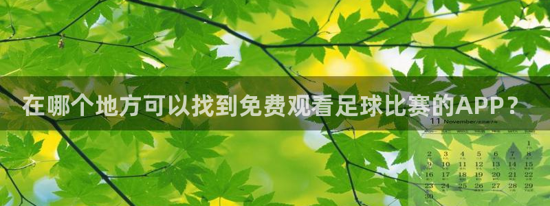 赏金国际app官方网站：在哪个地方可以找到免费观看足球比赛的APP？