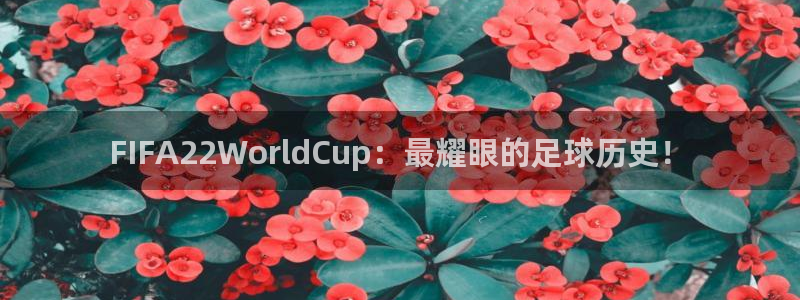 赏金国际28：FIFA22WorldCup：最耀眼的足球历史！