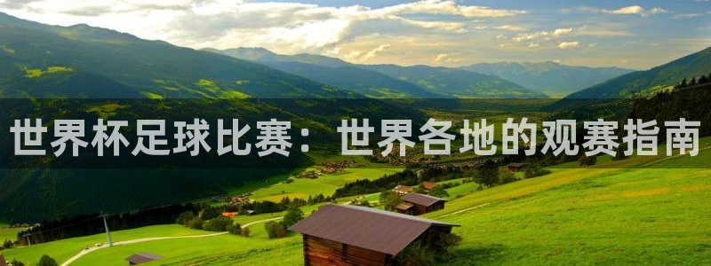 赏金国际正版官网入口下载：世界杯足球比赛：世界各地的观赛指南