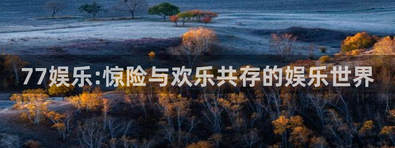 赏金国际在线下载