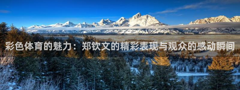 赏金国际官网入口：彩色体育的魅力：郑钦文的精彩表现与观众的感动瞬间