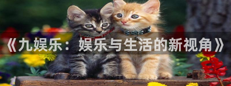 赏金国际网页版：《九娱乐：娱乐与生活的新视角》