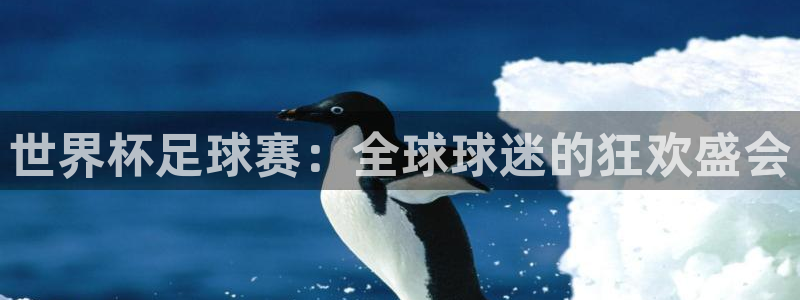 赏金国际最新链接：世界杯足球赛：全球球迷的狂欢盛会
