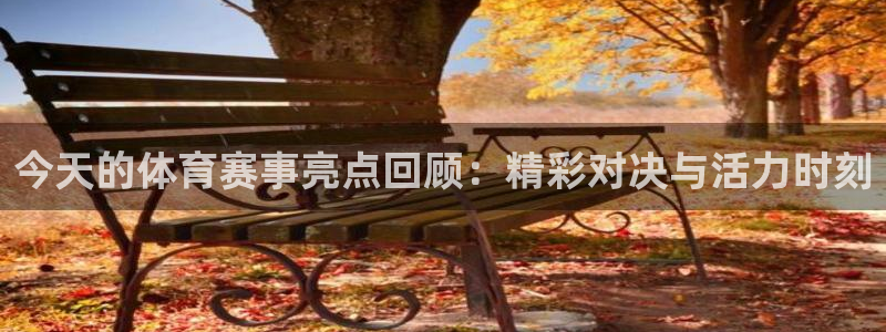 赏金国际.top：今天的体育赛事亮点回顾：精彩对决与活力时刻