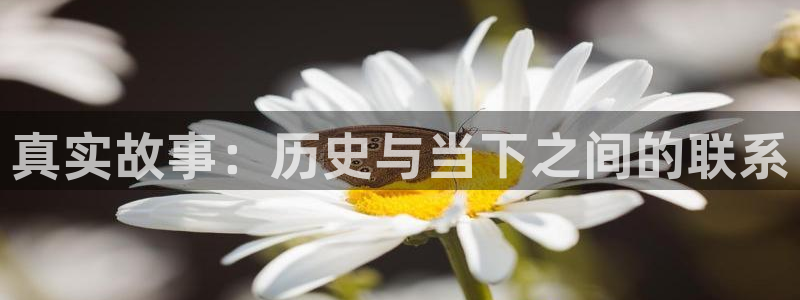 赏金国际网页版：真实故事：历史与当下之间的联系