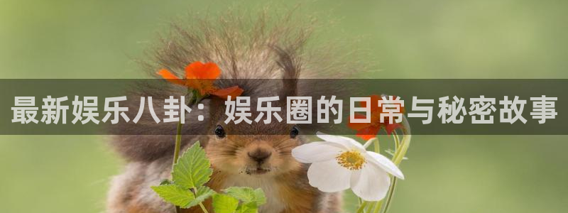 国际赏金app下载安装最新版：最新娱乐八卦：娱乐圈的日常与秘密故事