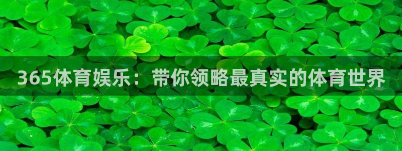 人民赏金app下载：365体育娱乐：带你领略最真实的体育世界