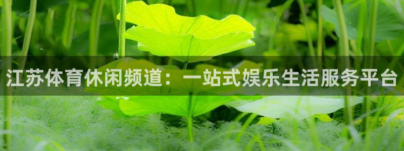 赏金国际下载入口版pg：江苏体育休闲频道：一站式娱乐生活服务平台