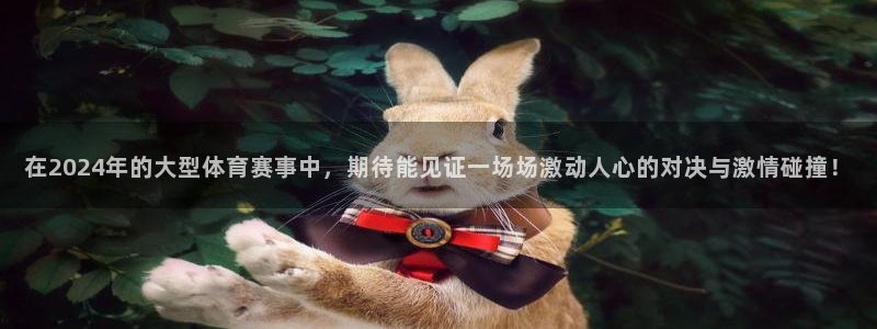 赏金国际.：在2024年的大型体育赛事中，期待能见证一场场激动人心的对决与激情碰撞！