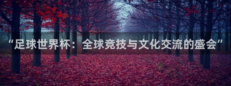 赏金赛app下载：“足球世界杯：全球竞技与文化交流的盛会”