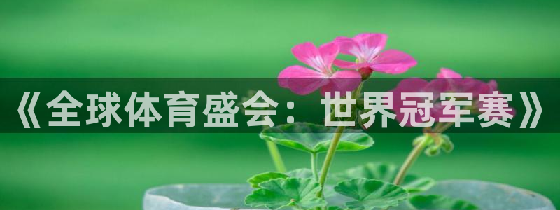 赏金app哪个软件最火：《全球体育盛会：世界冠军赛》