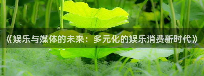 赏金国际是什么：《娱乐与媒体的未来：多元化的娱乐消费新时代》