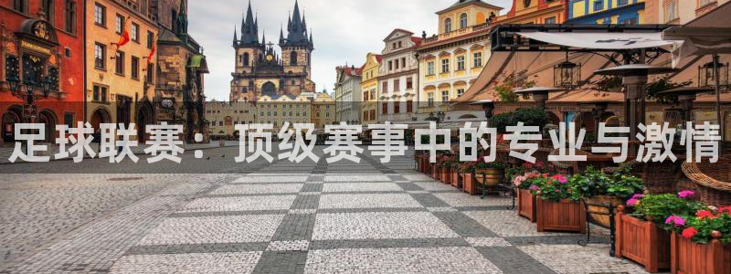 赏金国际链接网址：足球联赛：顶级赛事中的专业与激情