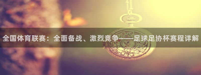 赏金国际官网入口：全国体育联赛：全面备战、激烈竞争——足球足协杯赛程详解