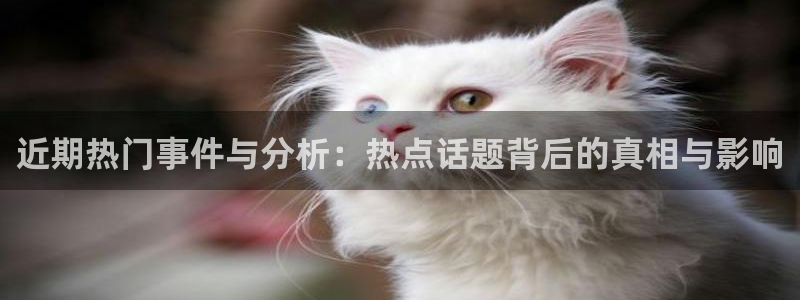 赏金国际官网下载入口：近期热门事件与分析：热点话题背后的真相与影响