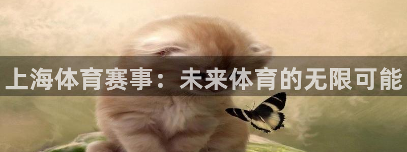 疯狂赏金app下载：上海体育赛事：未来体育的无限可能