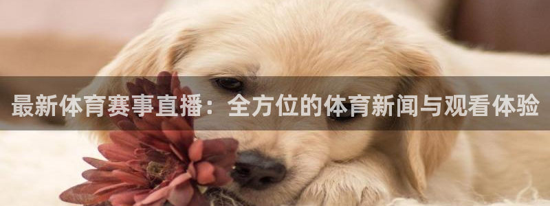 sjgj赏金国际app官网下载安装：最新体育赛事直播：全方位的体育新闻与观看体验