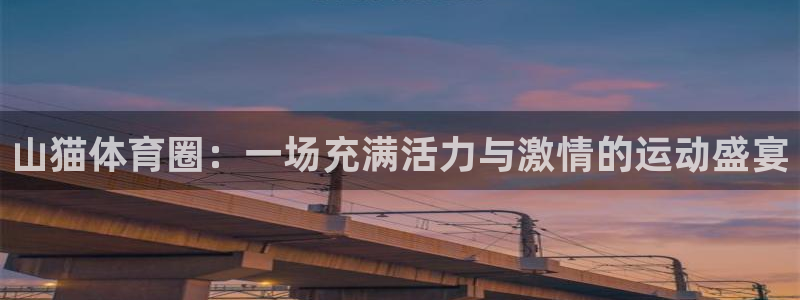 赏金国际app正版：山猫体育圈：一场充满活力与激情的运动盛宴