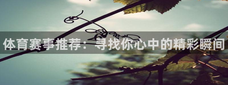 赏金赛app：体育赛事推荐：寻找你心中的精彩瞬间