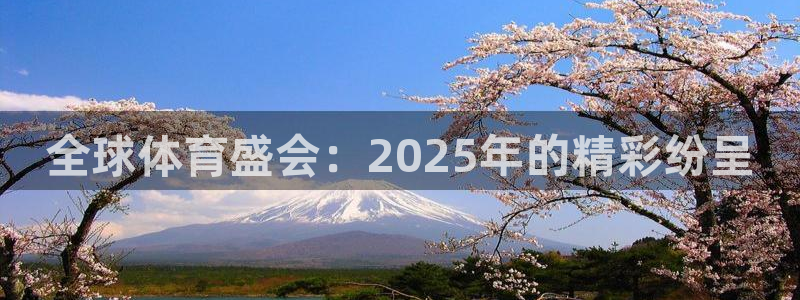 赏金国际在线入口：全球体育盛会：2025年的精彩纷呈