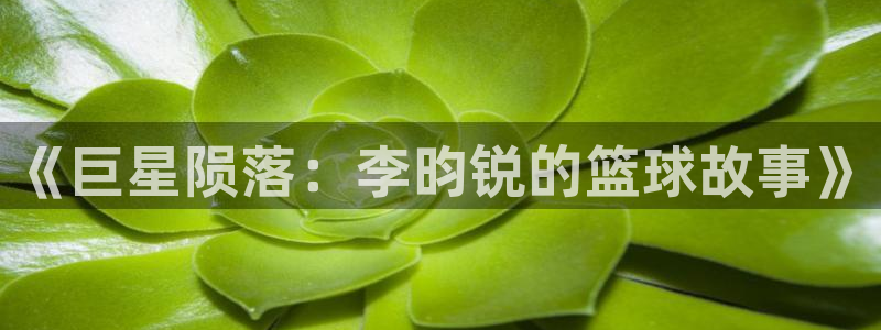 赏金国际app下载安卓：《巨星陨落：李昀锐的篮球故事》