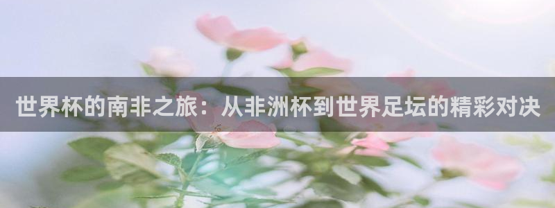 海外手游下载平台：世界杯的南非之旅：从非洲杯到世界足坛的精彩对决