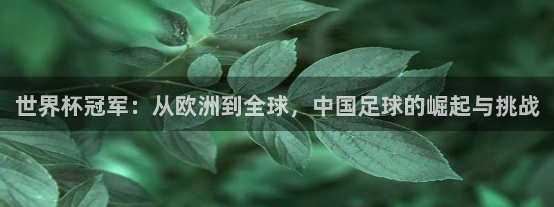 赏金国际ios：世界杯冠军：从欧洲到全球，中国足球的崛起与挑战