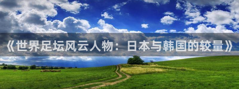 赏金下载app：《世界足坛风云人物：日本与韩国的较量》